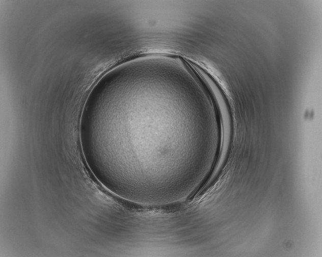 X0000090980385200708091502