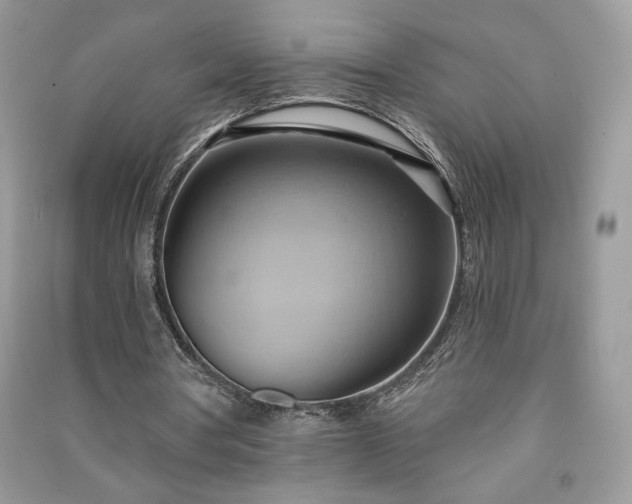X0000090980386200708091502