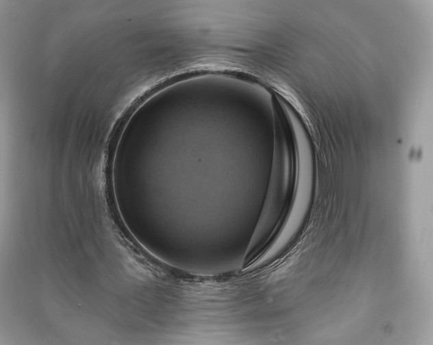 X0000090980387200708091502