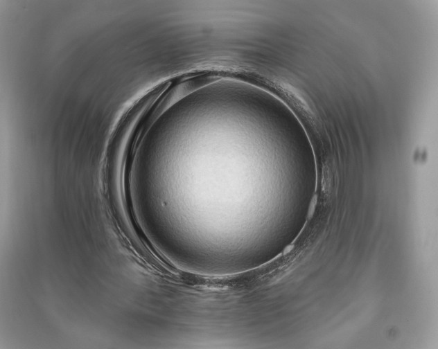 X0000090980388200708091502