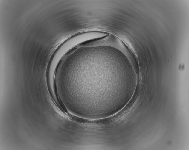 X0000090980389200708091502