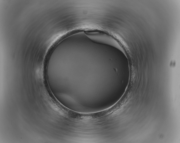 X0000090980391200708091502