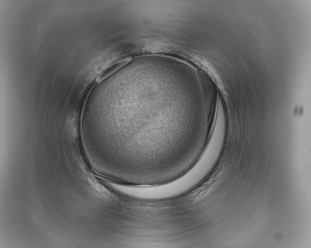 X0000090980393200708091502