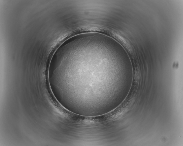 X0000090980394200708091502