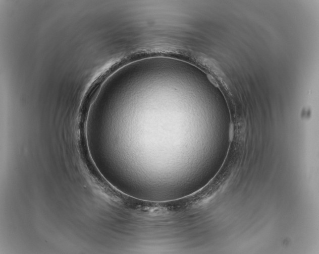 X0000090980395200708091502