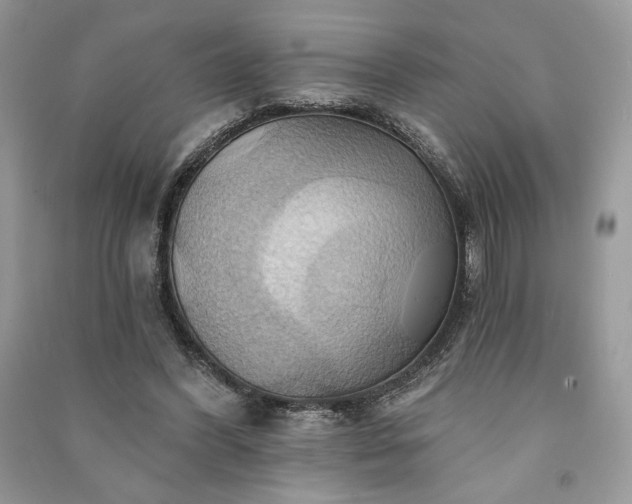 X0000090980396200708091502
