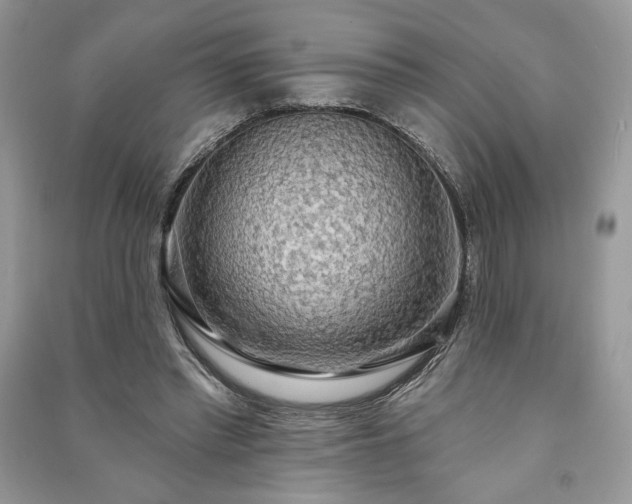 X0000090980397200708091502