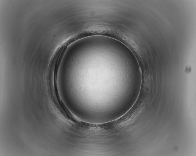 X0000090980399200708091502
