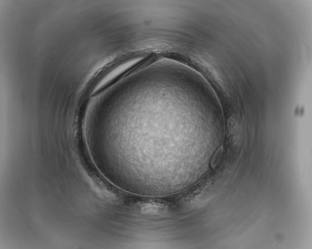 X0000090980400200708091502