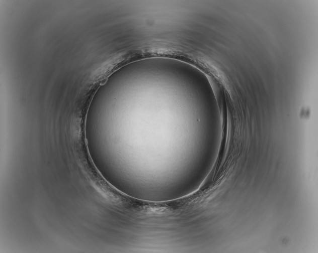X0000090980401200708091502