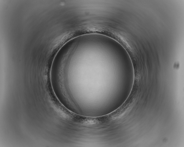 X0000090980402200708091502