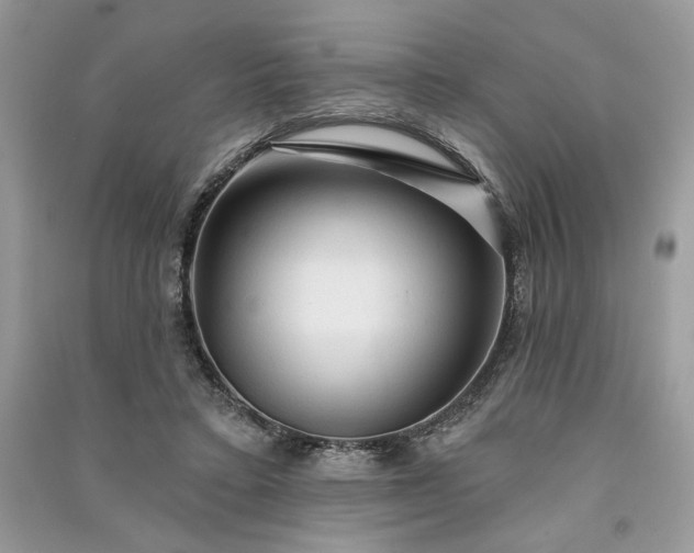 X0000090980403200708091502