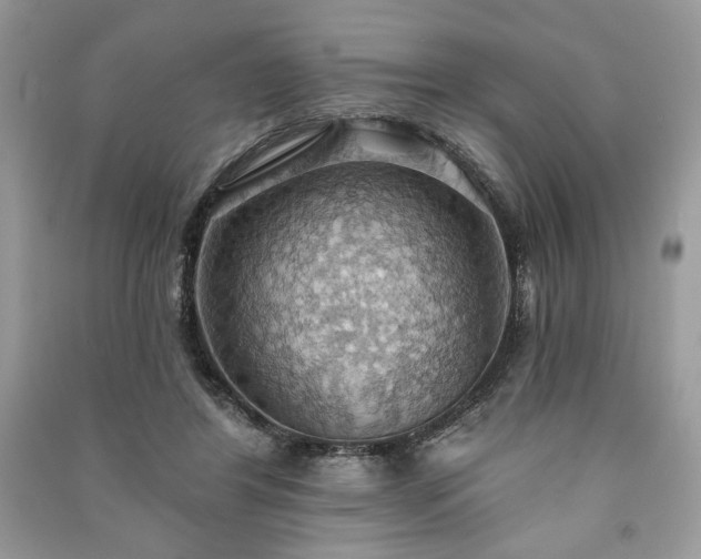 X0000090980404200708091502