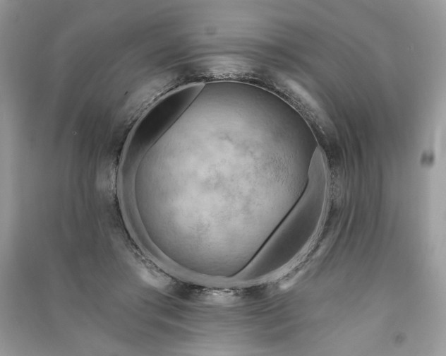 X0000090980405200708091502