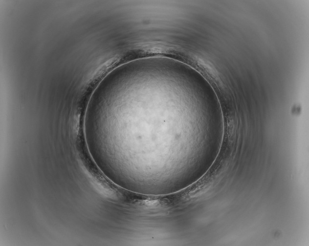 X0000090980406200708091502