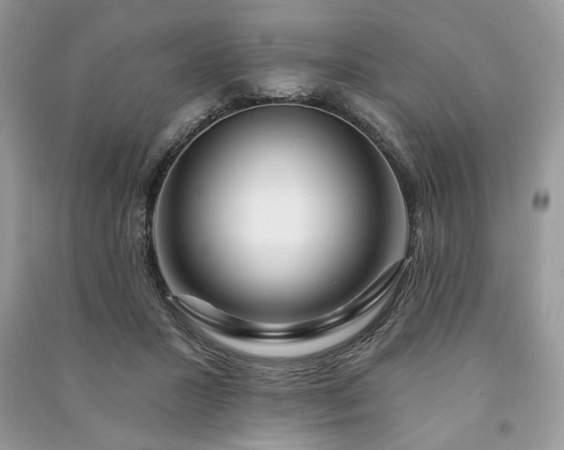 X0000090980407200708091502