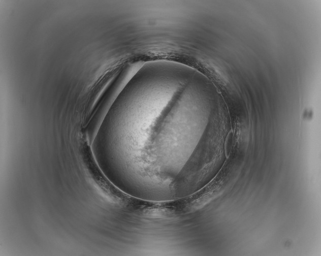 X0000090980408200708091502