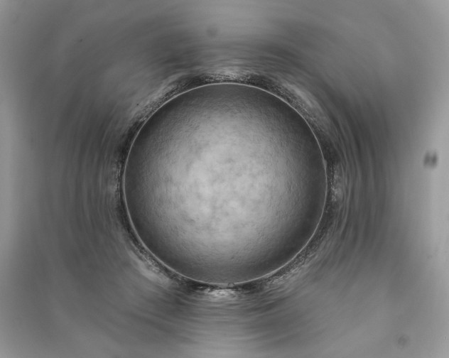 X0000090980409200708091502