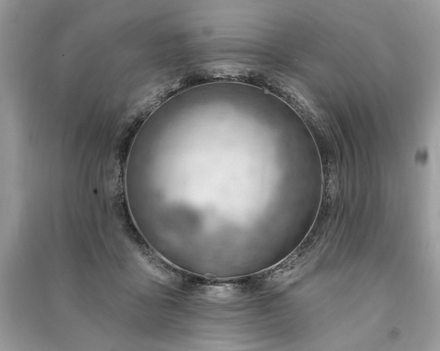 X0000090980411200708091502