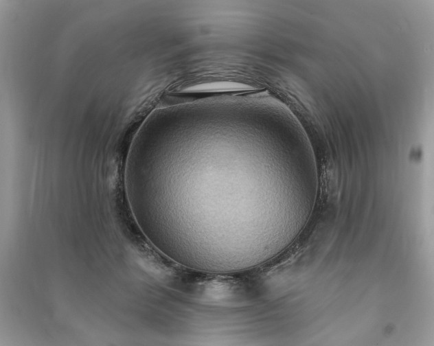 X0000090980412200708091502