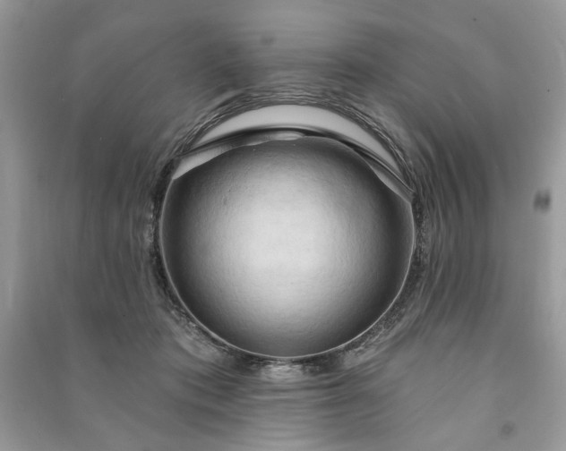 X0000090980413200708091502