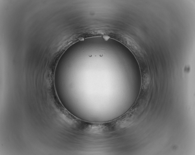 X0000090980414200708091502