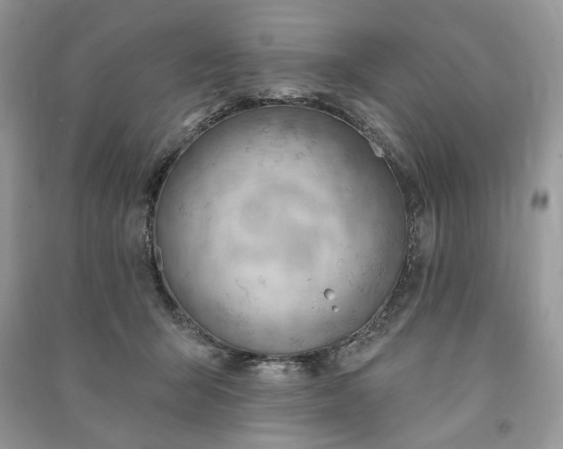 X0000090980415200708091502