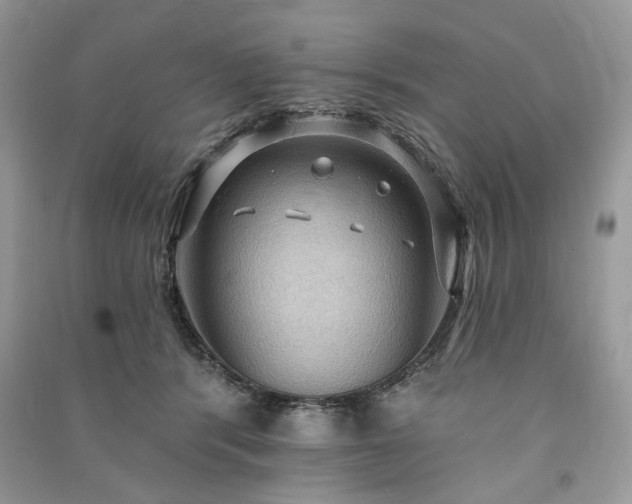 X0000090980416200708091501