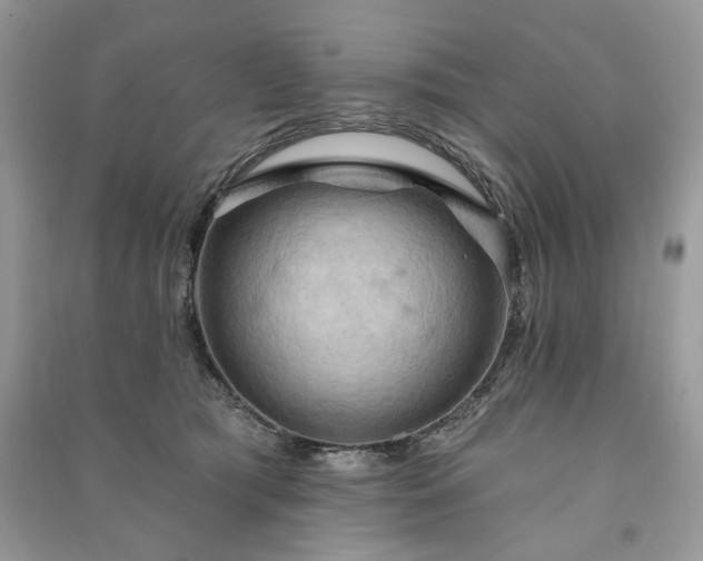 X0000090980417200708091501