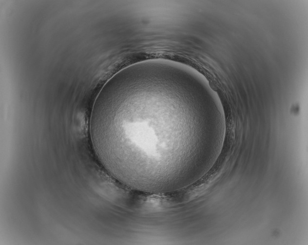 X0000090980420200708091501