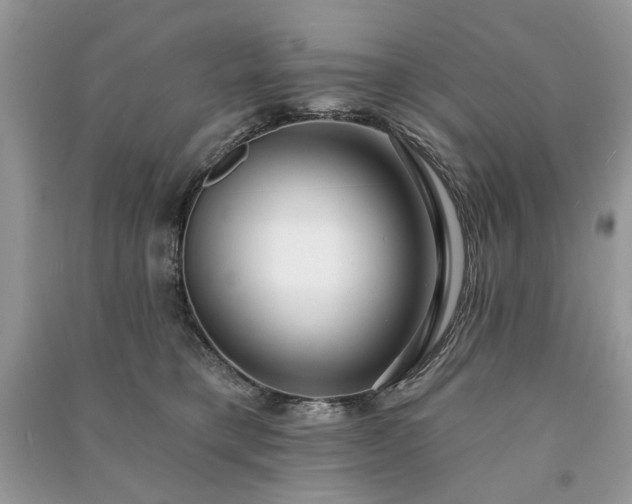 X0000090980421200708091501