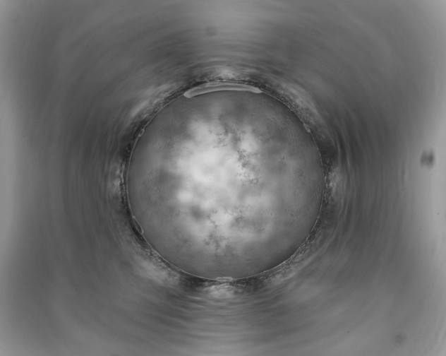 X0000090980423200708091501