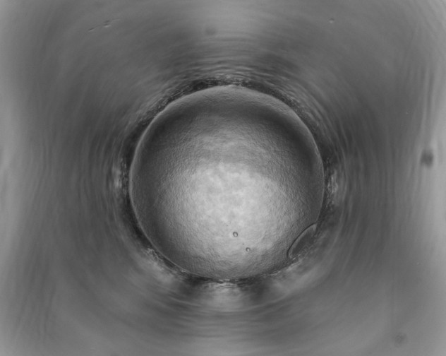 X0000090980424200708091501