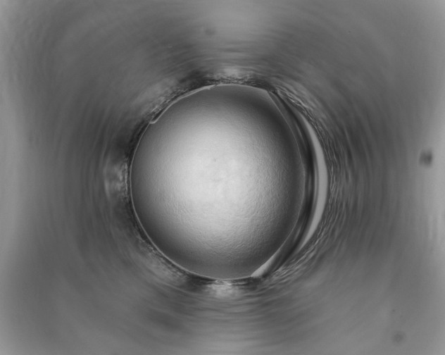 X0000090980425200708091501