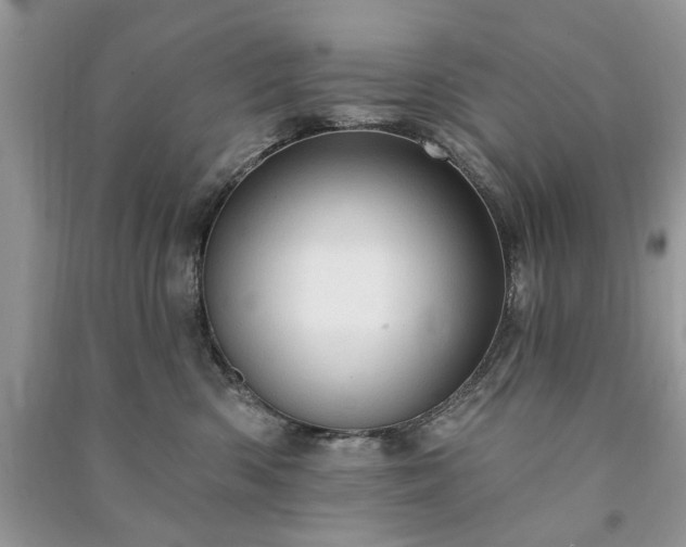 X0000090980426200708091501