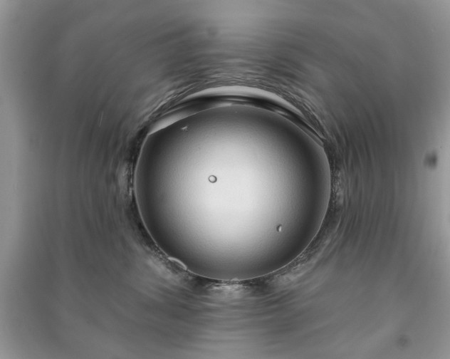 X0000090980428200708091501