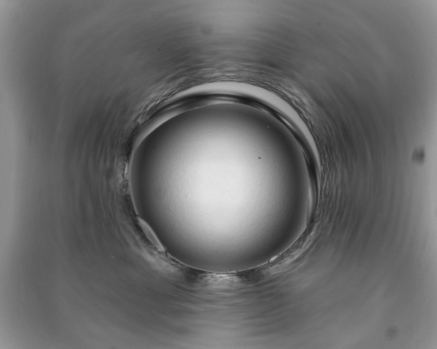 X0000090980429200708091501