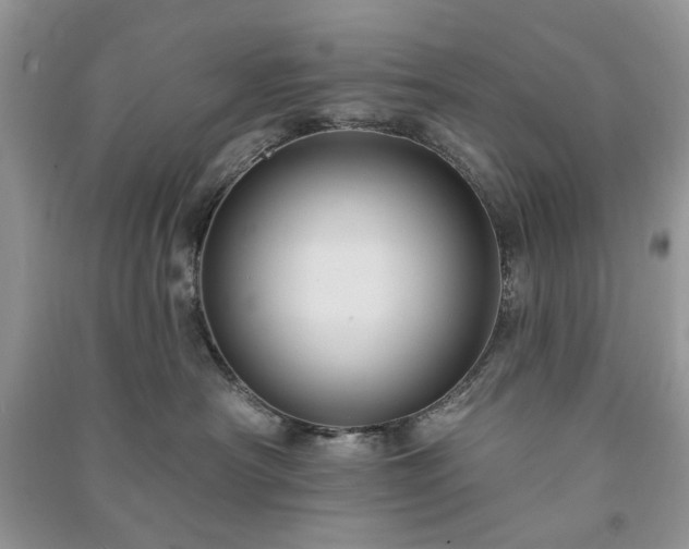 X0000090980430200708091501