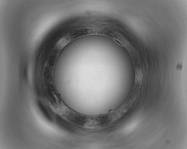 X0000090980431200708091501
