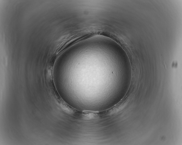 X0000090980432200708091501