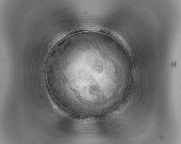 X0000090980433200708091501