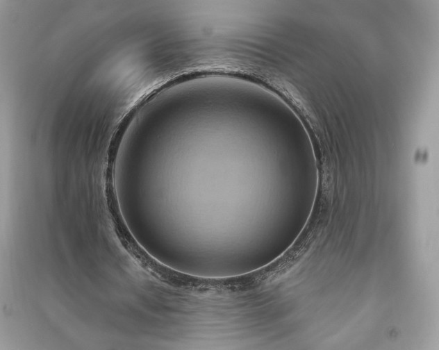 X0000090980434200708091501