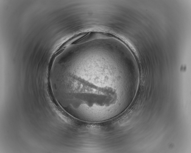 X0000090980437200708091501