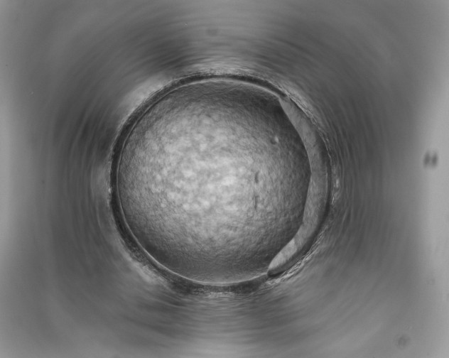 X0000090980438200708091501