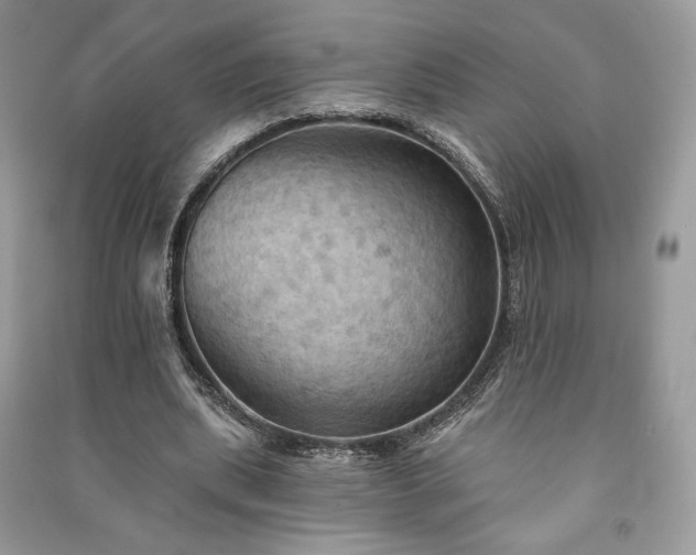 X0000090980439200708091501