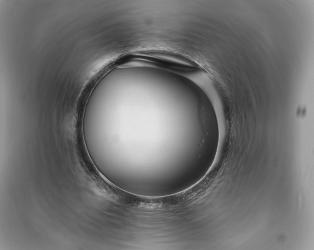 X0000090980440200708091501