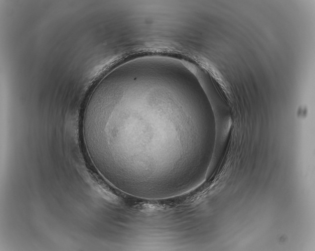 X0000090980442200708091501