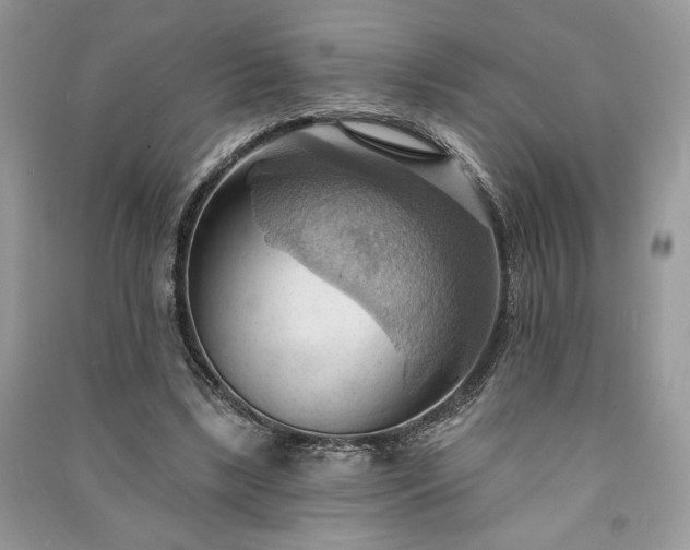 X0000090980443200708091501