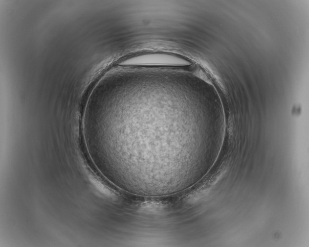 X0000090980445200708091501