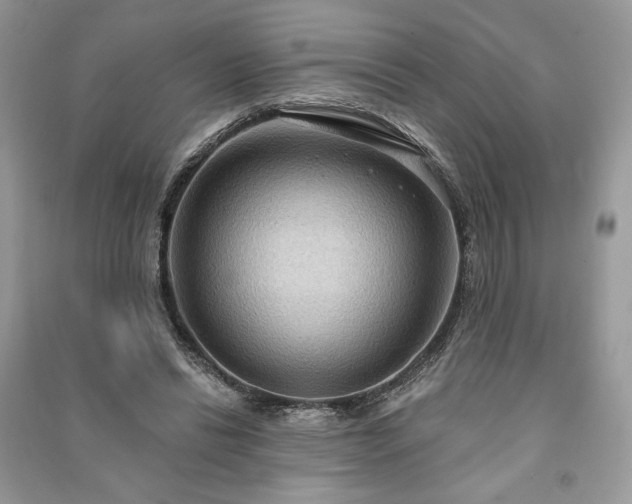 X0000090980446200708091501